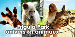 Demi Journée Friguia Park