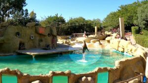 Demi Journée Friguia Park